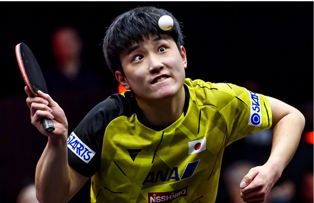 开云体育中国官网-波兰乒乓球队横扫德国乒乓球队，张本智和送出助攻