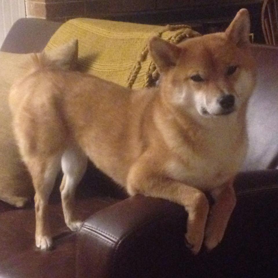 开云体育入口-森林狼节奏掌控新疆队，保罗成为关键先生